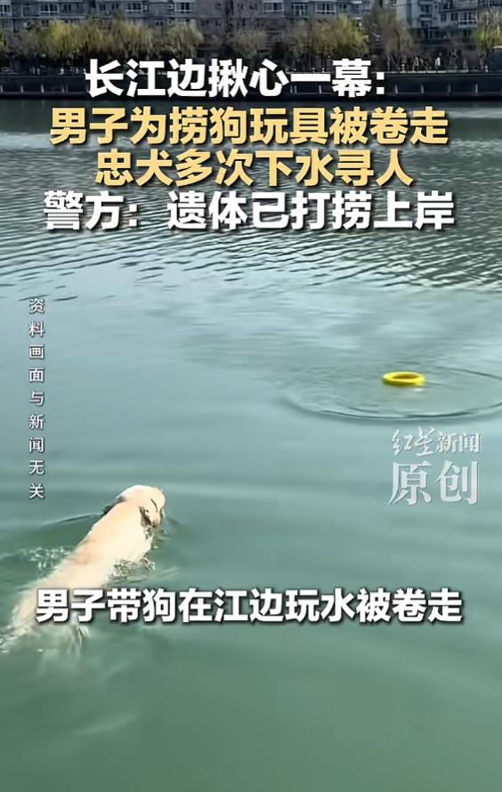 “得不偿失啊！”5月29日报道，四川宜宾，一男子带狗在长江边玩，小狗的玩具掉进水