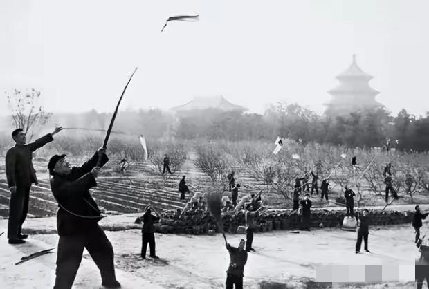 1958年4月19日凌晨5点，北京城炸了锅。300万人拿着锅碗瓢盆、竹竿红旗冲上