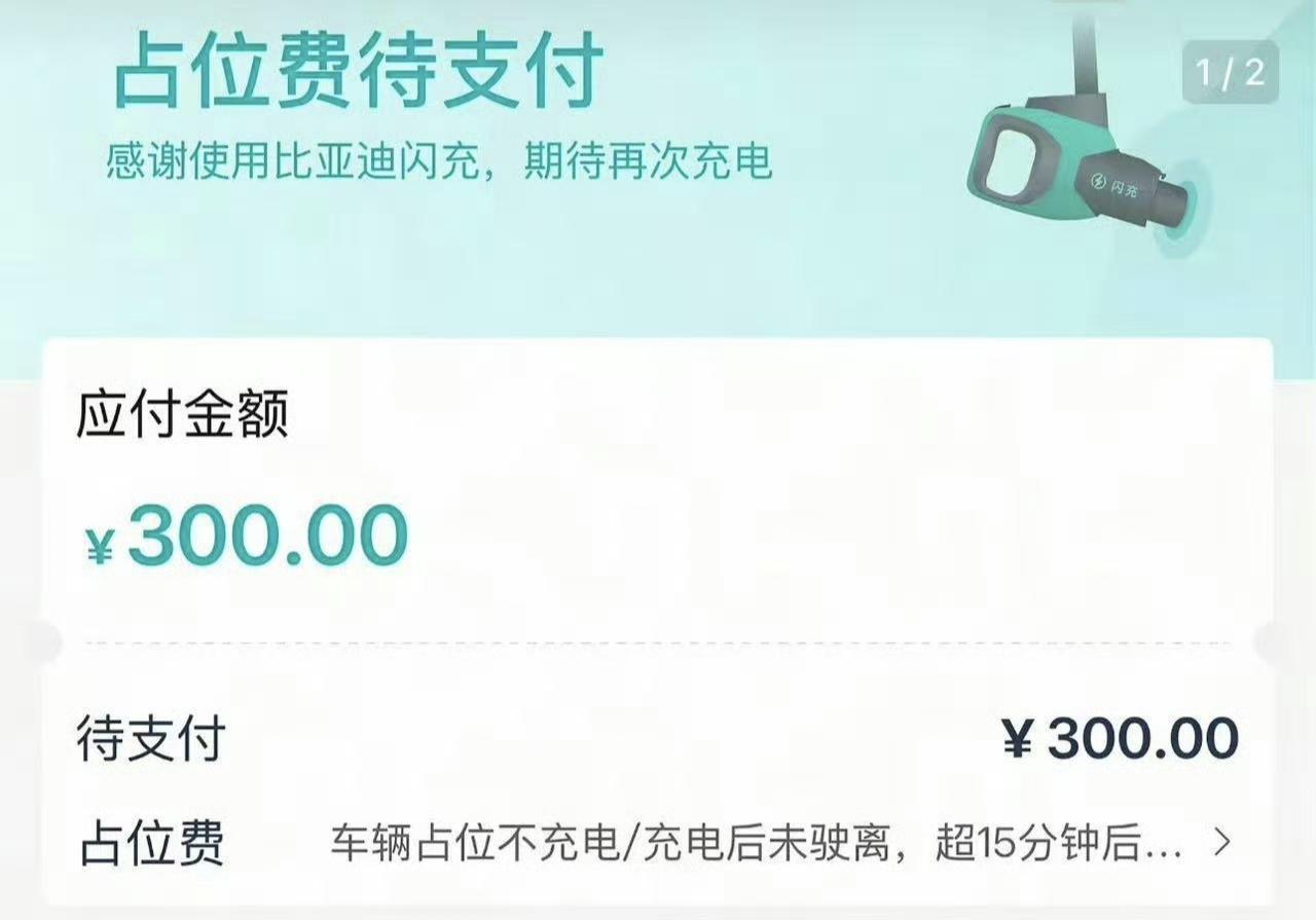 王传福出手了！谁在闪充桩上充满电不及时挪车，将会收取占位费，已经有用户因为长期占