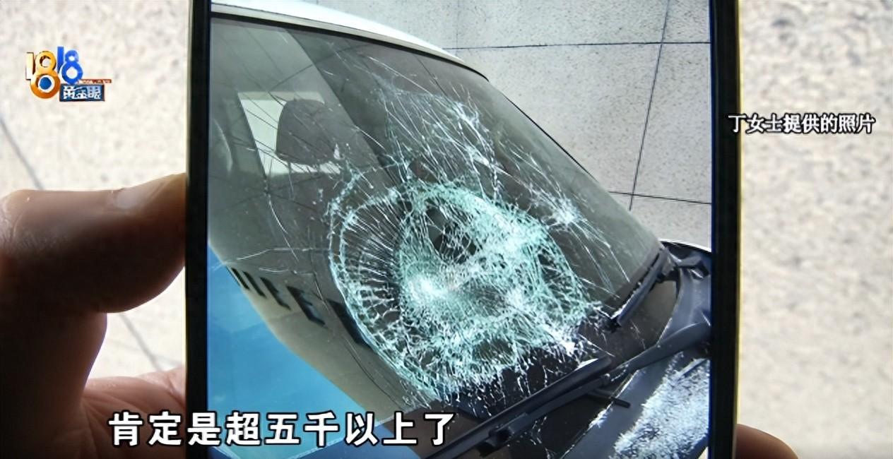 事出反常必有妖！8月25日北青网报道，浙江湖州，女子正要开车出门，眼前一幕直接心