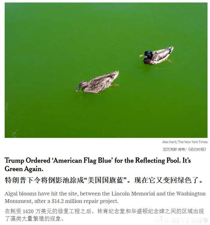 纽约时报的报道给我一种小孩吵架的感觉。