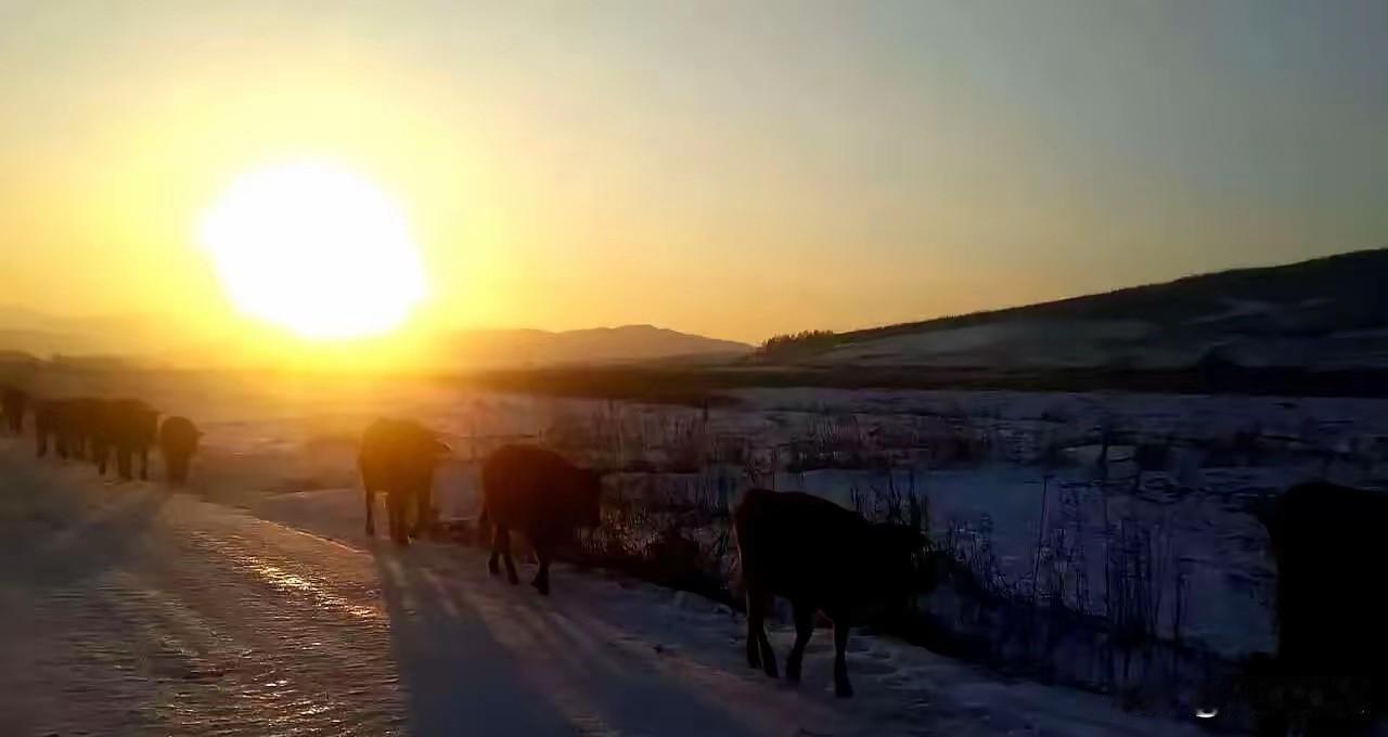 1月22日这消息一出，不少等着“吃老本”的人估计要睡不着了。农业农村部定调了