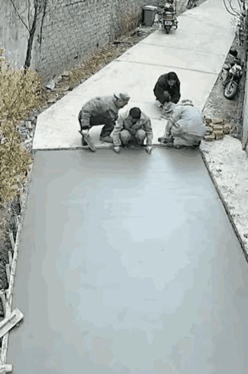 本来小猫走过去问题不大的，结果[捂脸哭]