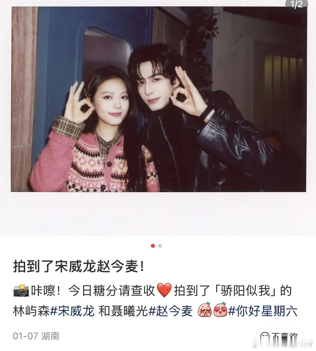 宋威龙和赵今麦分数为什么这么恨野狗骨头啊？