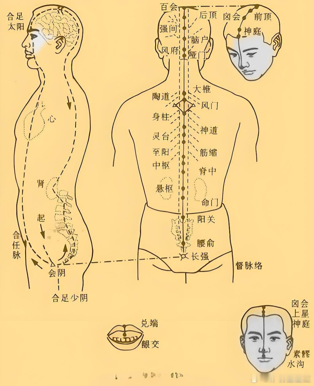 清代名医黄元御名方，一剂治失眠！失眠是非常常见的一种疾病，即使是平素身体健康的