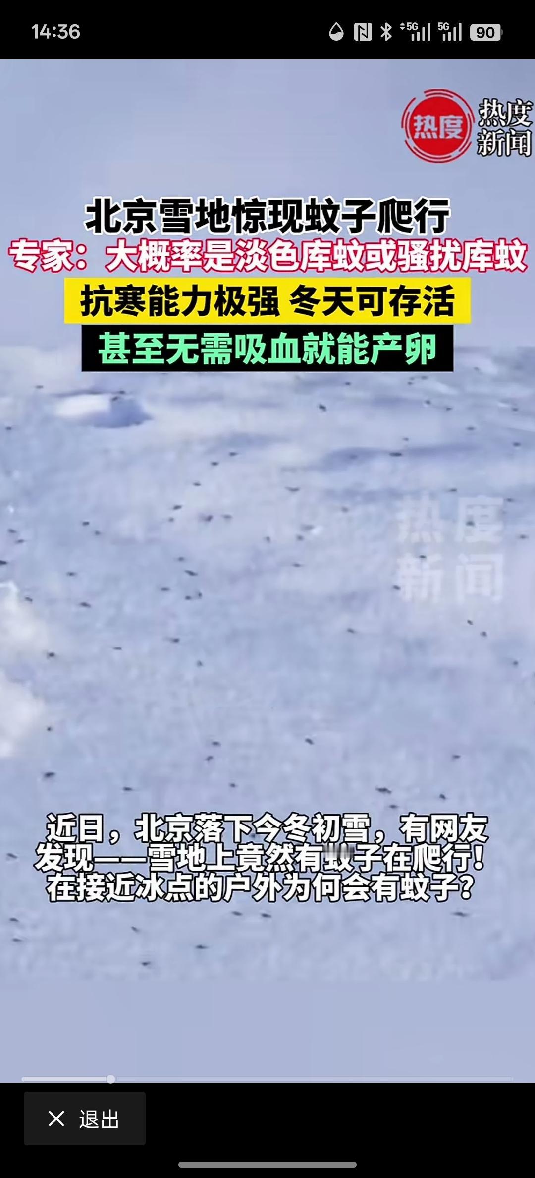 这大冬天的蚊子却冻不死，而且在雪地里面到处跑，这值得我们警惕！这种现象不应该出现