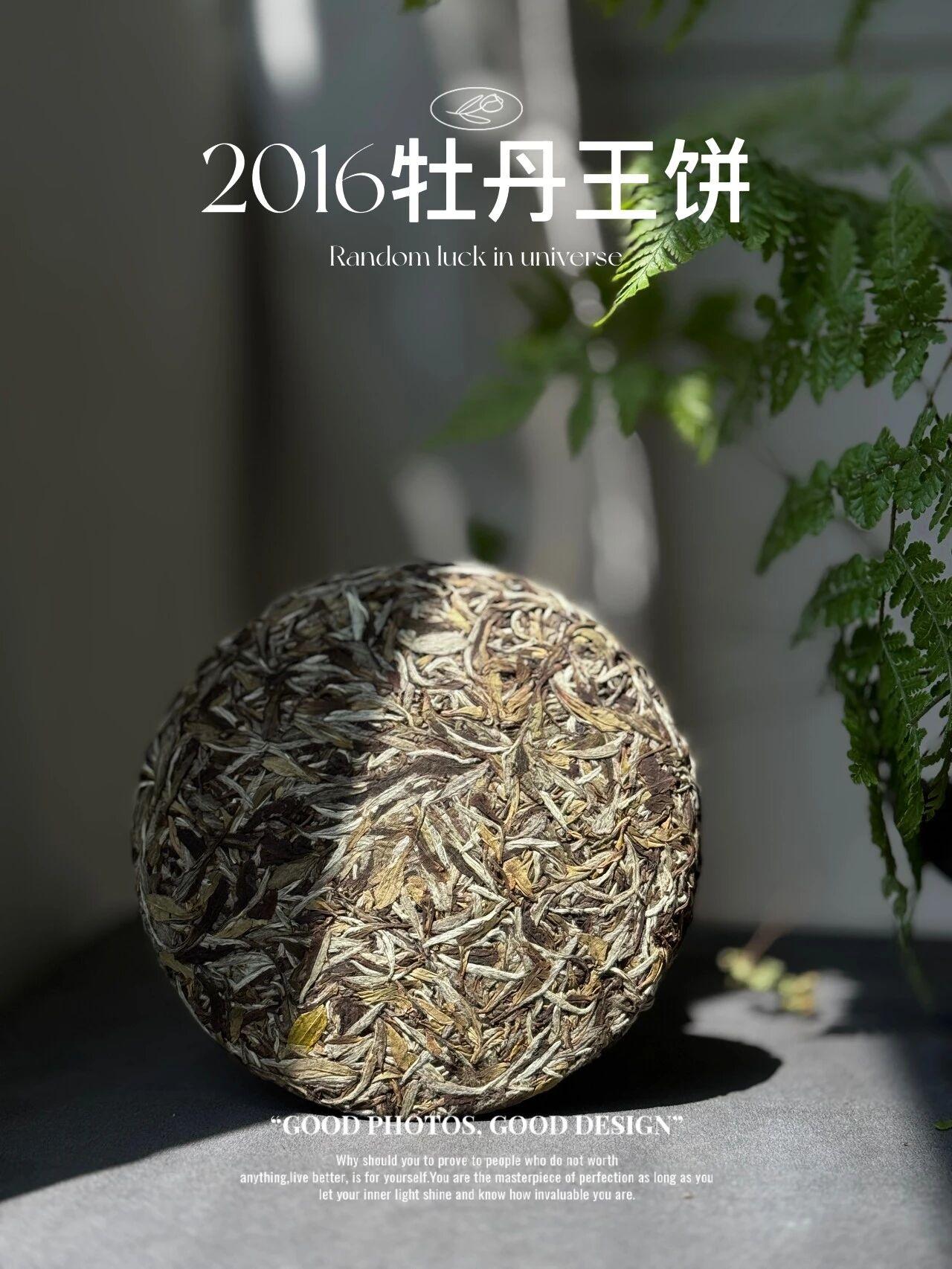 你以为正常，其实很伤身体的喝茶行为以下喝茶误区，真的很伤身体，劝你不要再犯了！
