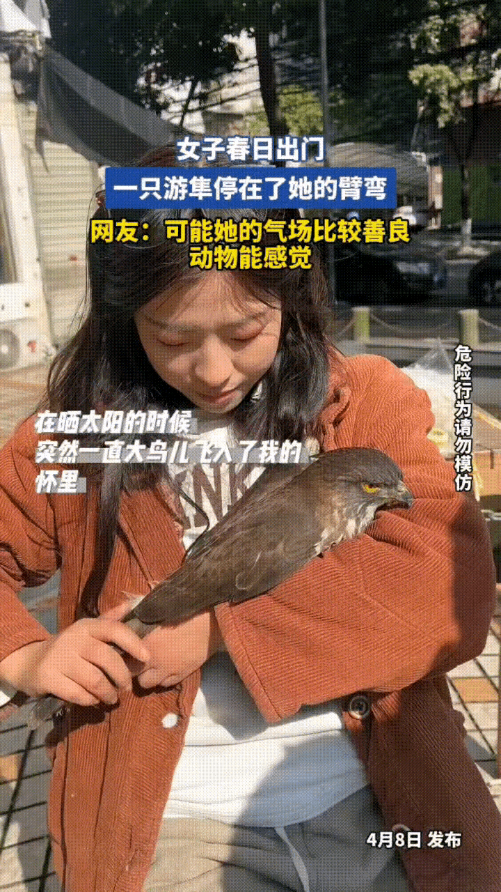 据重庆城市TV聚焦，一女子户外晒太阳时，一只大鸟突然飞入怀中，女子检查后发现鸟儿