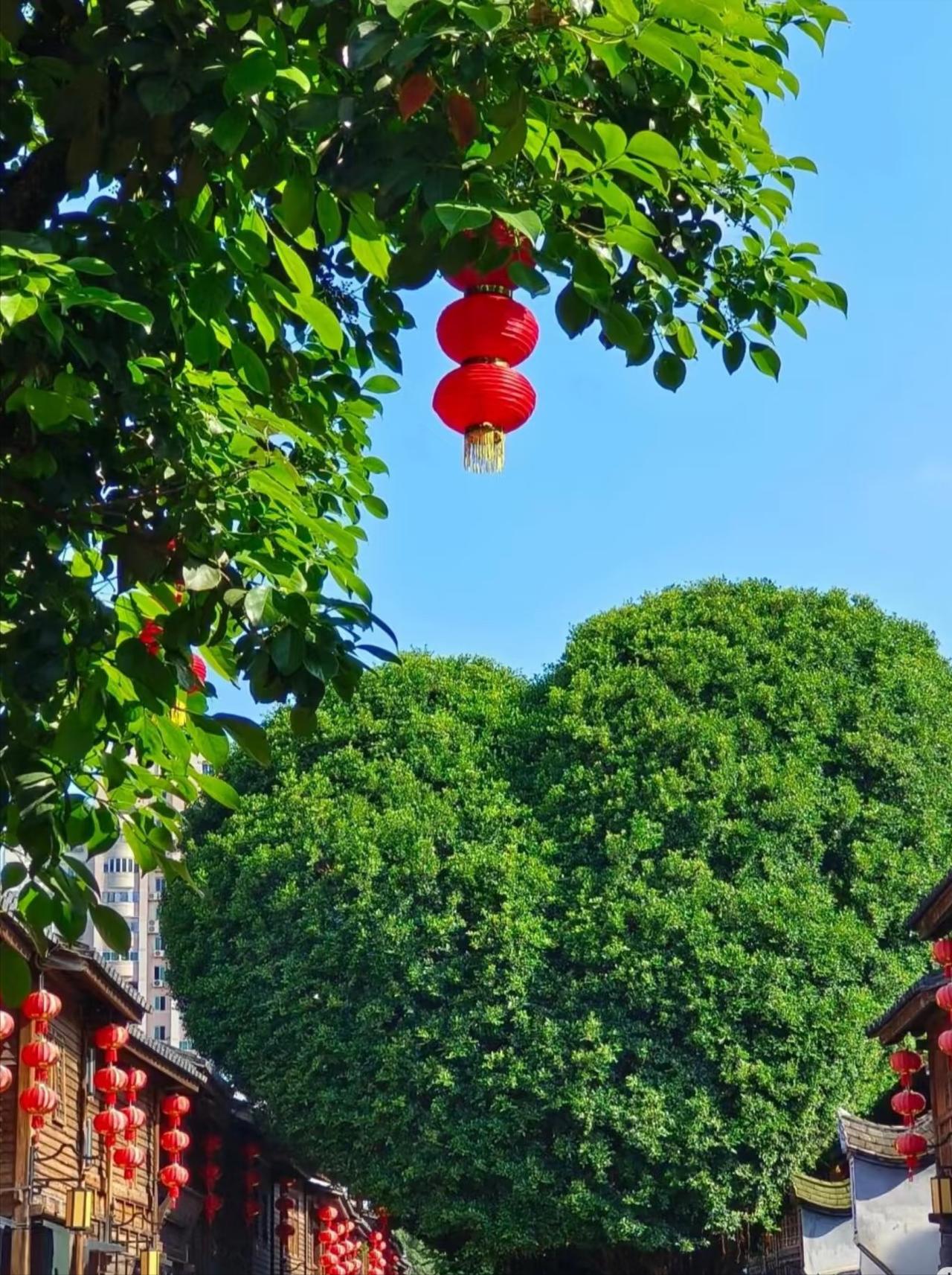 近日，福建一位22岁的女生很是苦恼，不知要不要去东北找他的男友的苦恼？她说：
