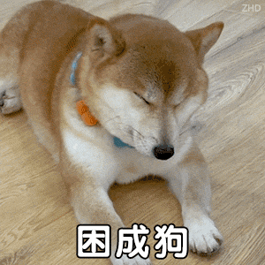 今天明天白天都在外面忙，晚上回来再玩哈！​​​