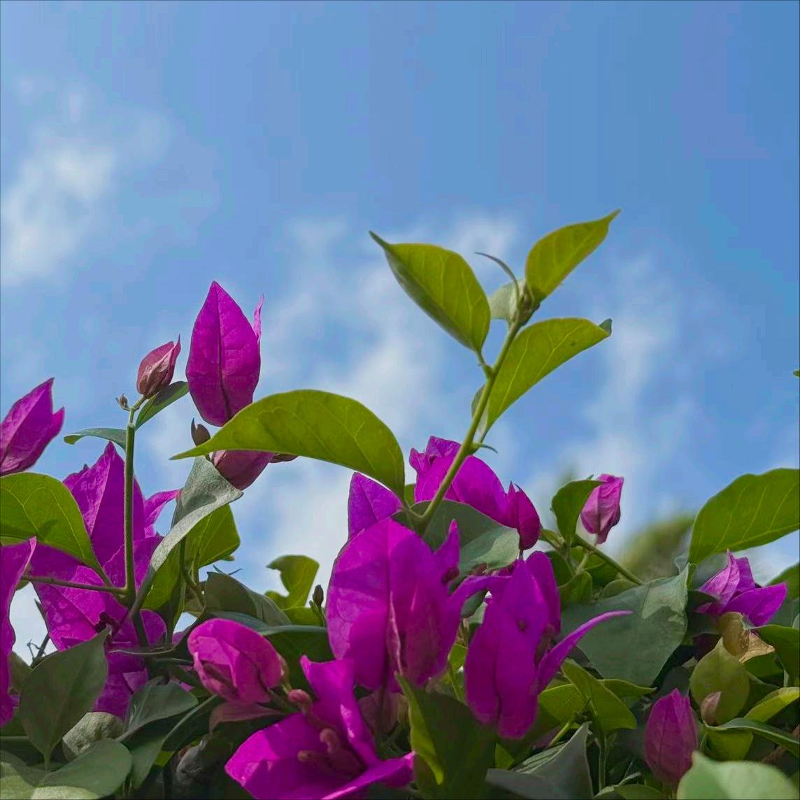 今年54岁的闫剑波履新省上 3月31日，该同志履新。 该同志长期在地方工