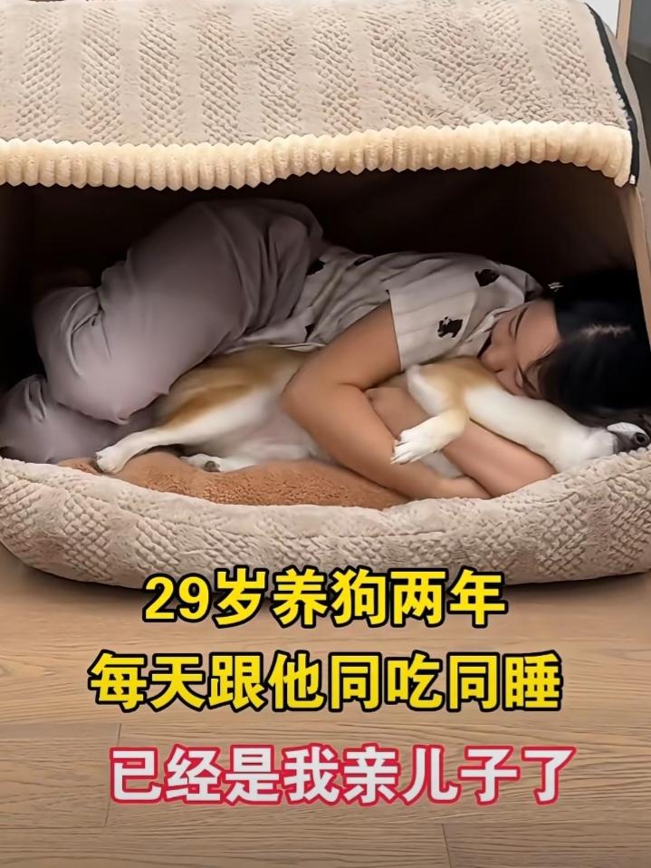 29岁养狗两年，每天跟他同吃同睡，把他当亲儿子养了，我真理解不了和狗这么亲密的人