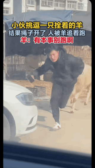 脸都吓变形了，这就是犯贱的后果！