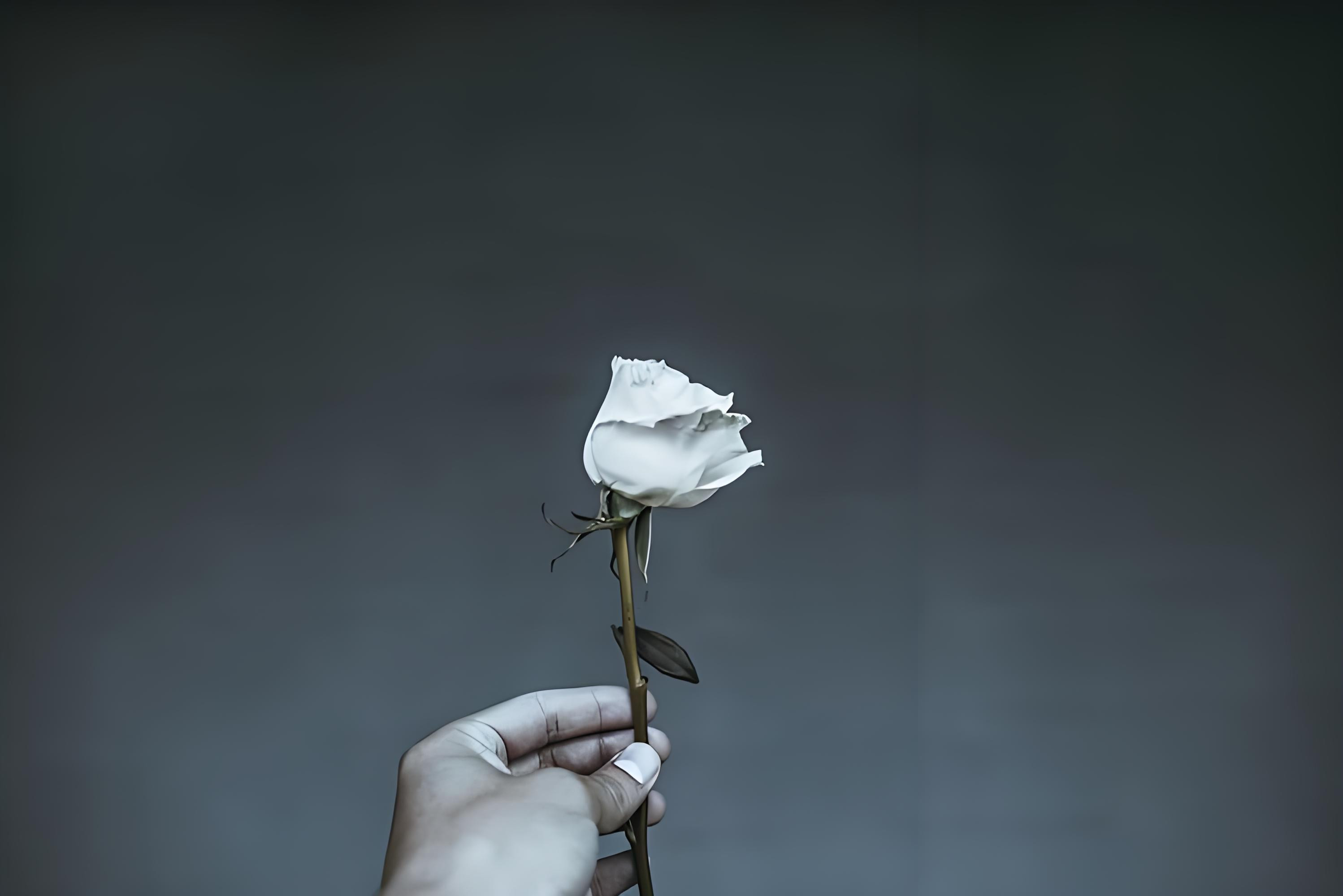 我花了十年才明白，想要真正改变命运不是靠自律逆袭，而是靠更改选择。当你的行为举止