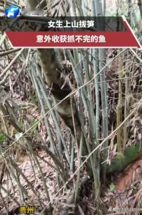 4月28日，贵州深山里，一名女子上山采春笋时，意外发现一处快干涸的水潭，泥里有不