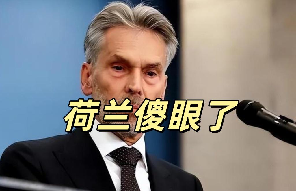 这下荷兰傻眼了!中美在韩国会晤后,中国将放宽对美国的稀土出口管制,然而此前积极追