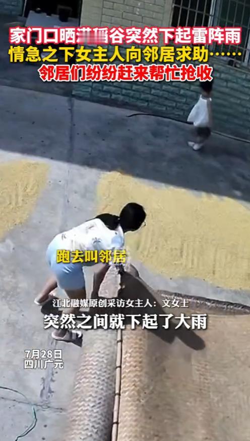 “这就是邻里情！”7月28日，四川广元，一女子家中晒满稻谷，可突然下起来雷阵雨，