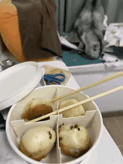 早晨买了几个灌汤包吃，猫咪在一旁眼馋的看着。咬一个包子的时候，里面的汤汁喷射而