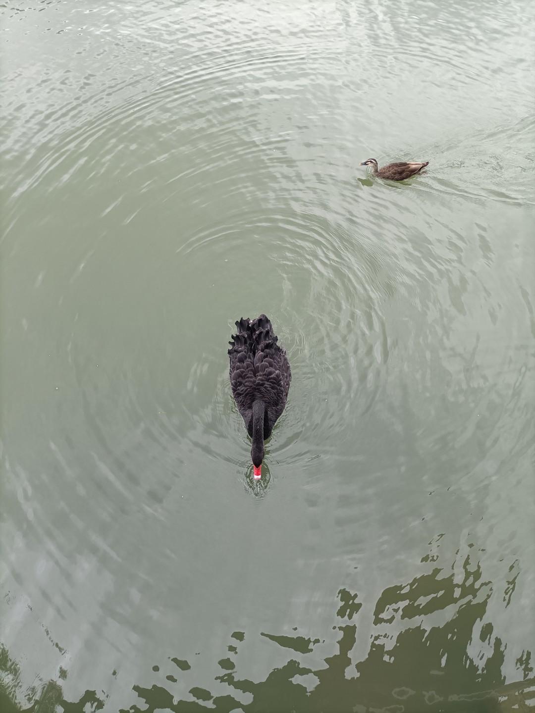 莫装b，装b遭雷劈淮南王刘安的嫡子刘迁，出身高贵，深得父王的欢心。他花钱如