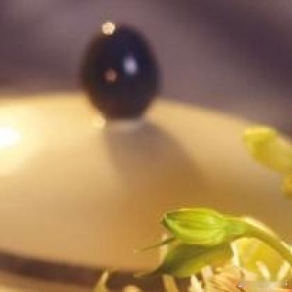 《新华社》中有一段话是这样说的，绝大部分普通人终其一生，无非是为了谋生和谋爱，选