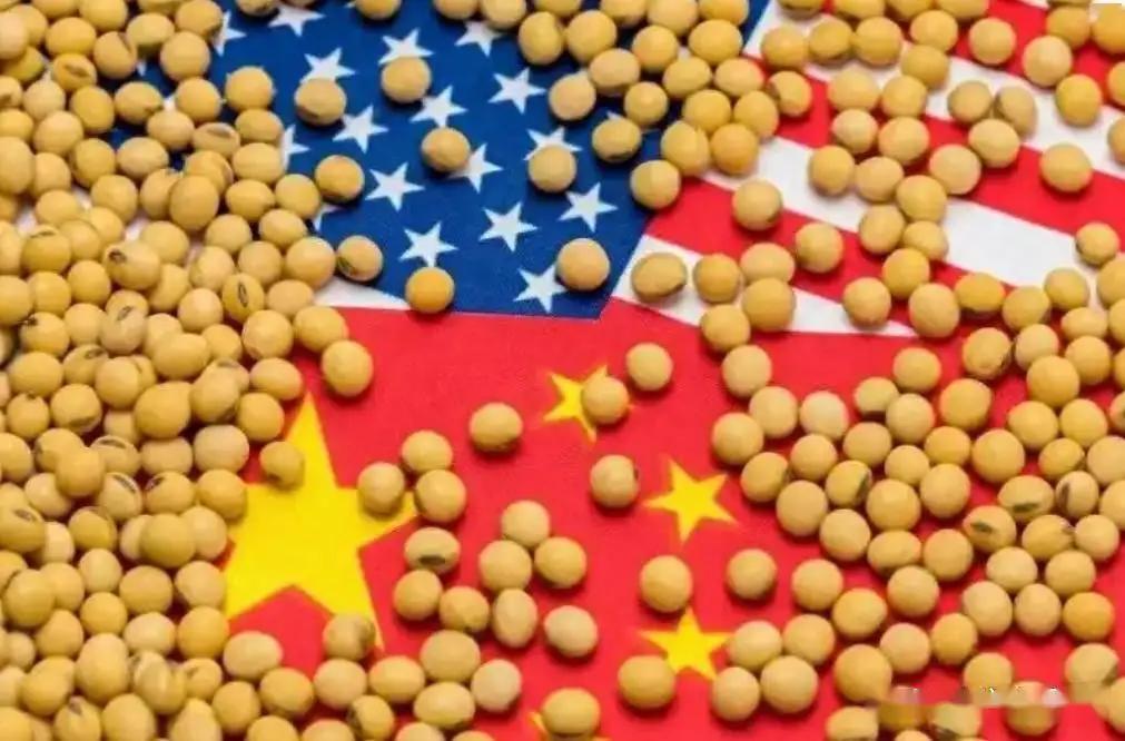 中美之间可能有大事发生！中国一周扫货约100万吨美国大豆！9月10日，路透社引述