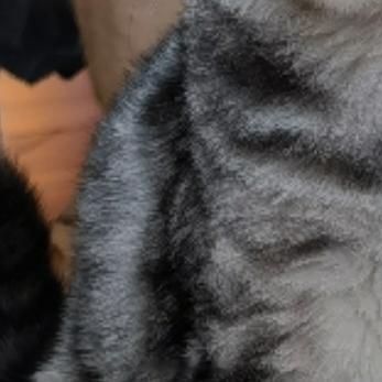 每日一善✨好运连连，阳光信用，熊猫守护者，『本人极好，仅茴ygxy[极好