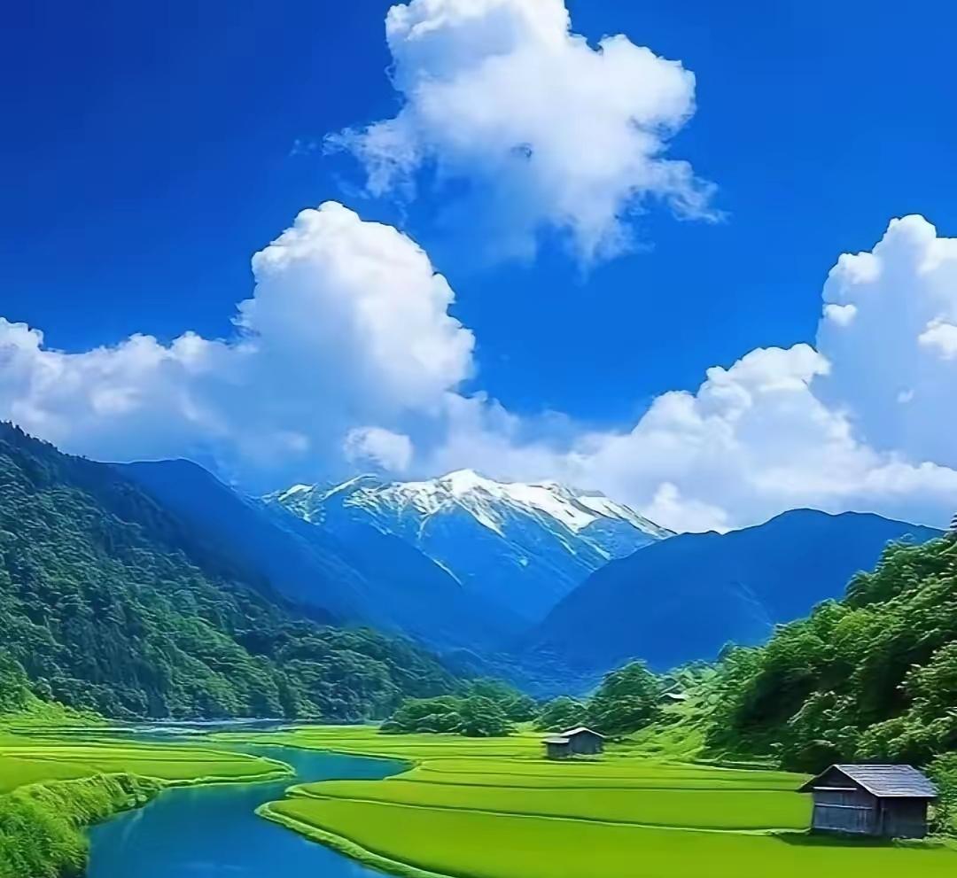 一位老教师感慨:中小学领导不上课，不研究，不思考，不读书，不看报，不写作，不搞