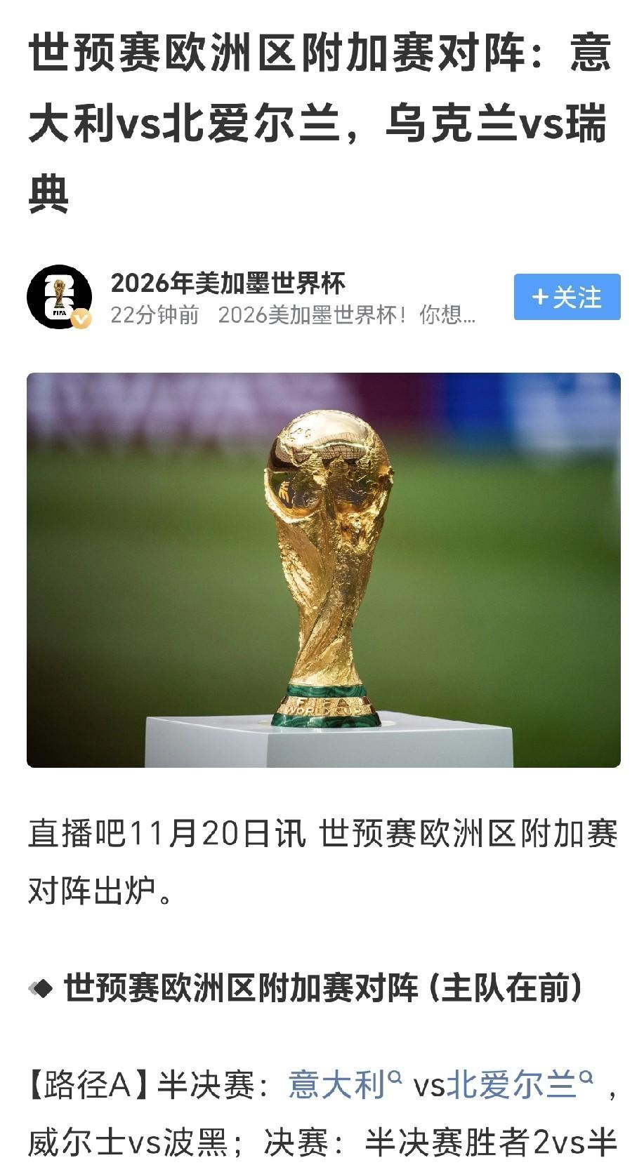 意大利国家队快沦为“欧洲中国队”，已经连续两次错过世界杯决赛圈。11月20日，欧