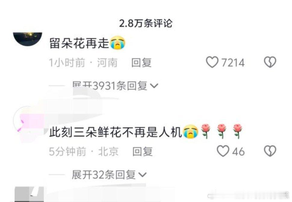 我一直很畏惧这个群体