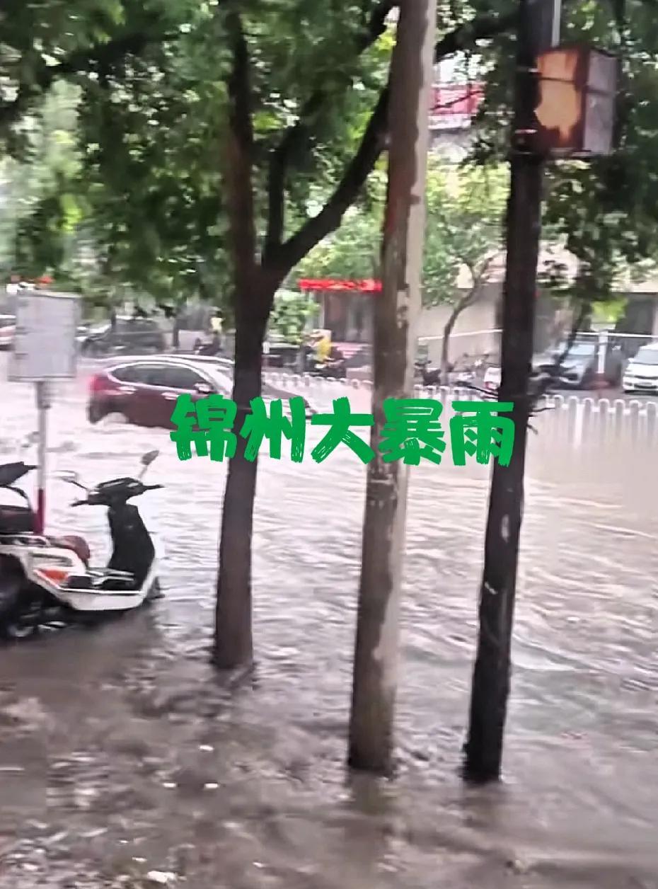 锦州大暴雨开始了，都下冒烟了，跟瓢泼似的，天空乌云密布，雷声、雨声大路瞬间成河，