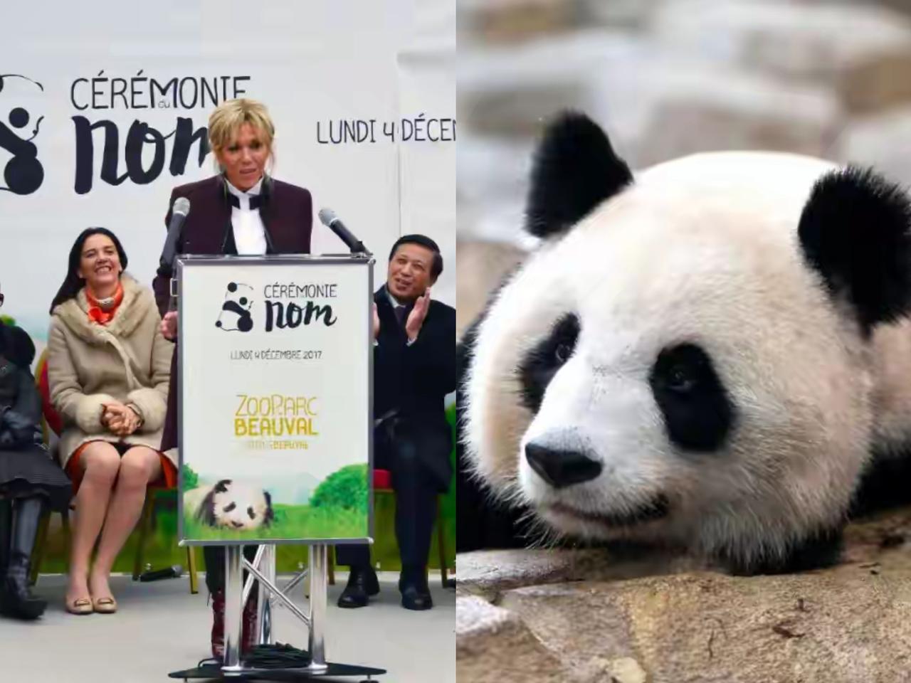 笑不活！马克龙访华最出圈的不是协议，是把熊猫“搞定”了！马克龙带着80多人的