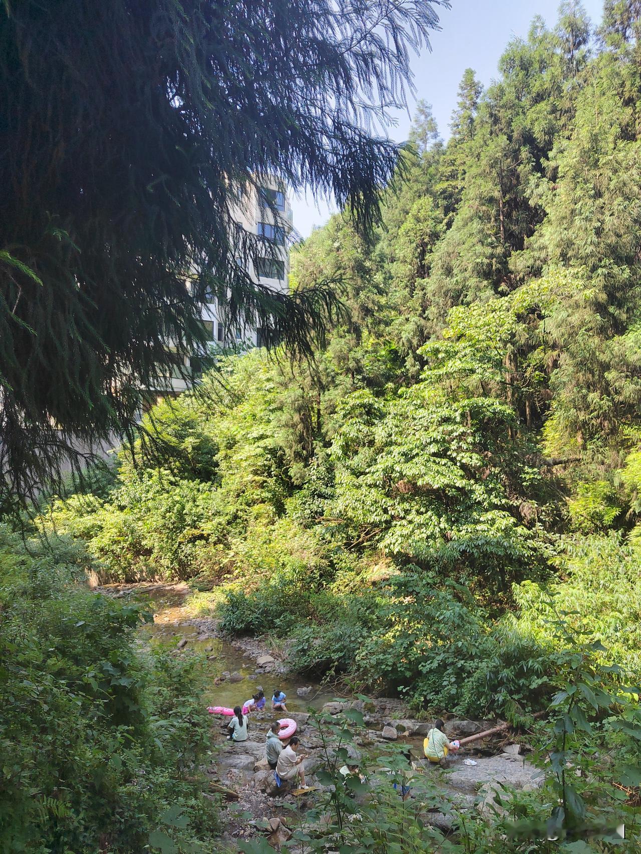 中国养都，世界好水。峨眉山泉，水润洪雅。在酷暑里走进峨眉后山七里坪，云中花岭
