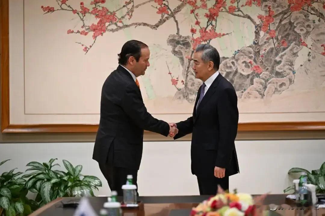 主动示好，巴拿马答应中国了当地时间26日，外交部长王毅在纽约主持联合国安理会高