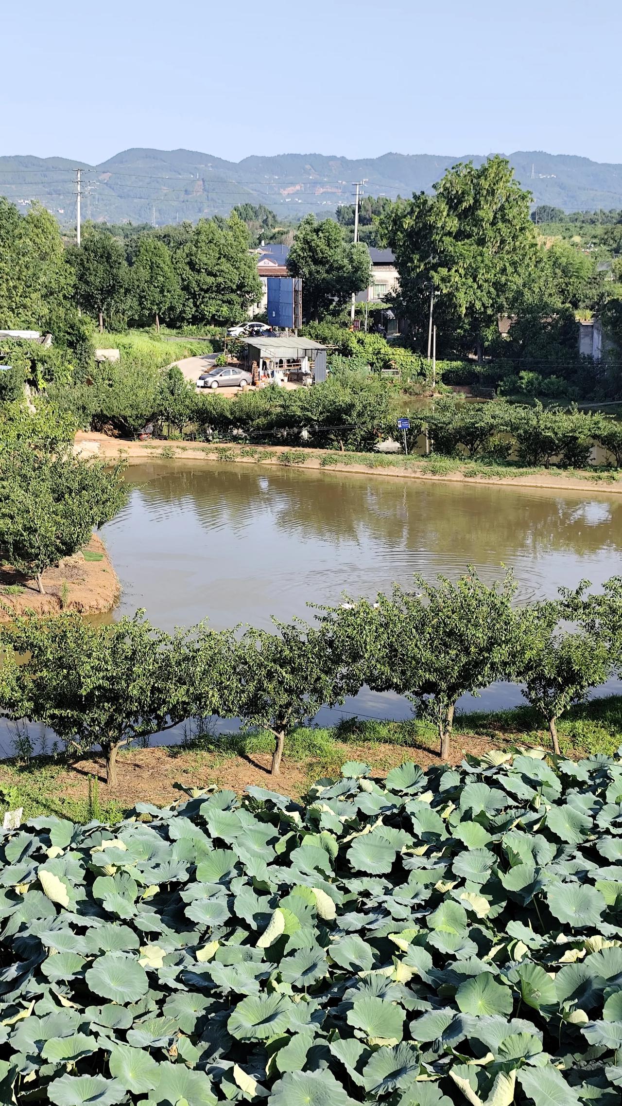 晒图笔记大赛乡村风景欣赏分享农村最美风景