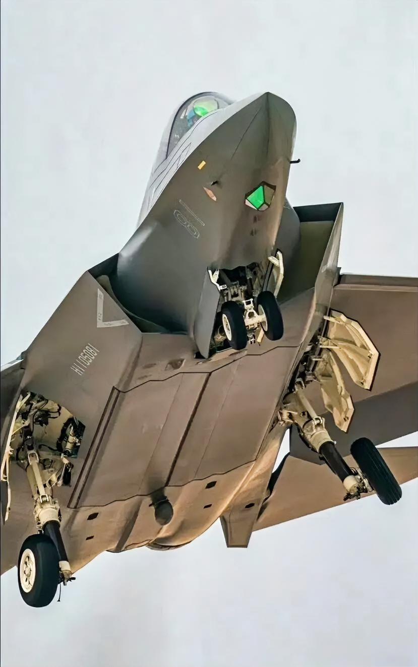 歼35的机腹是其隐身性能和作战能力的核心区域，采用了极致扁平化设计，与F-35的