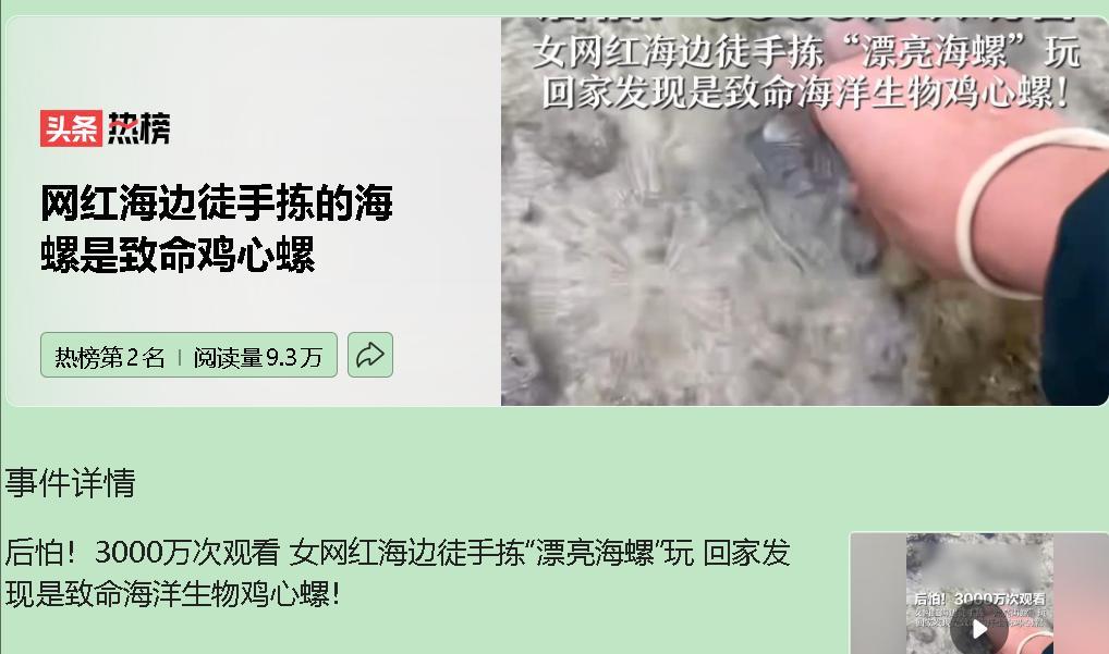 在阳光灿烂的海滩上，一位江苏的女游客赤手空拳地捡起了一只颜色斑斓的海螺。她兴奋地