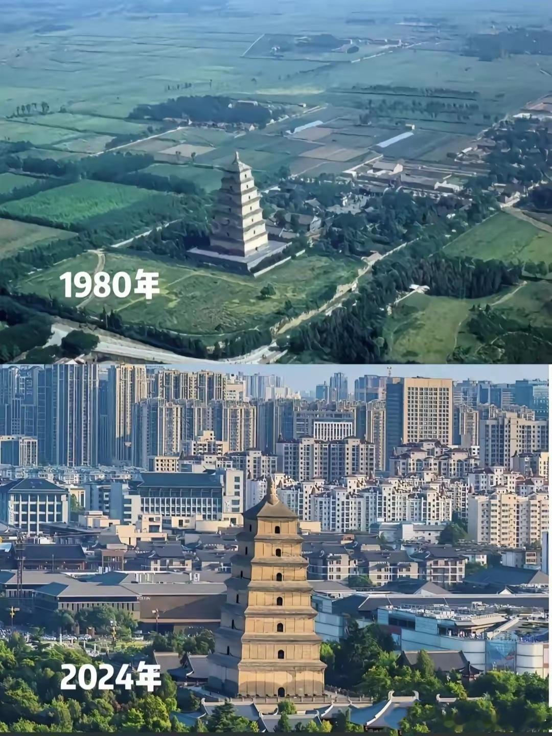 西安大雁塔，半个世纪的蜕变。