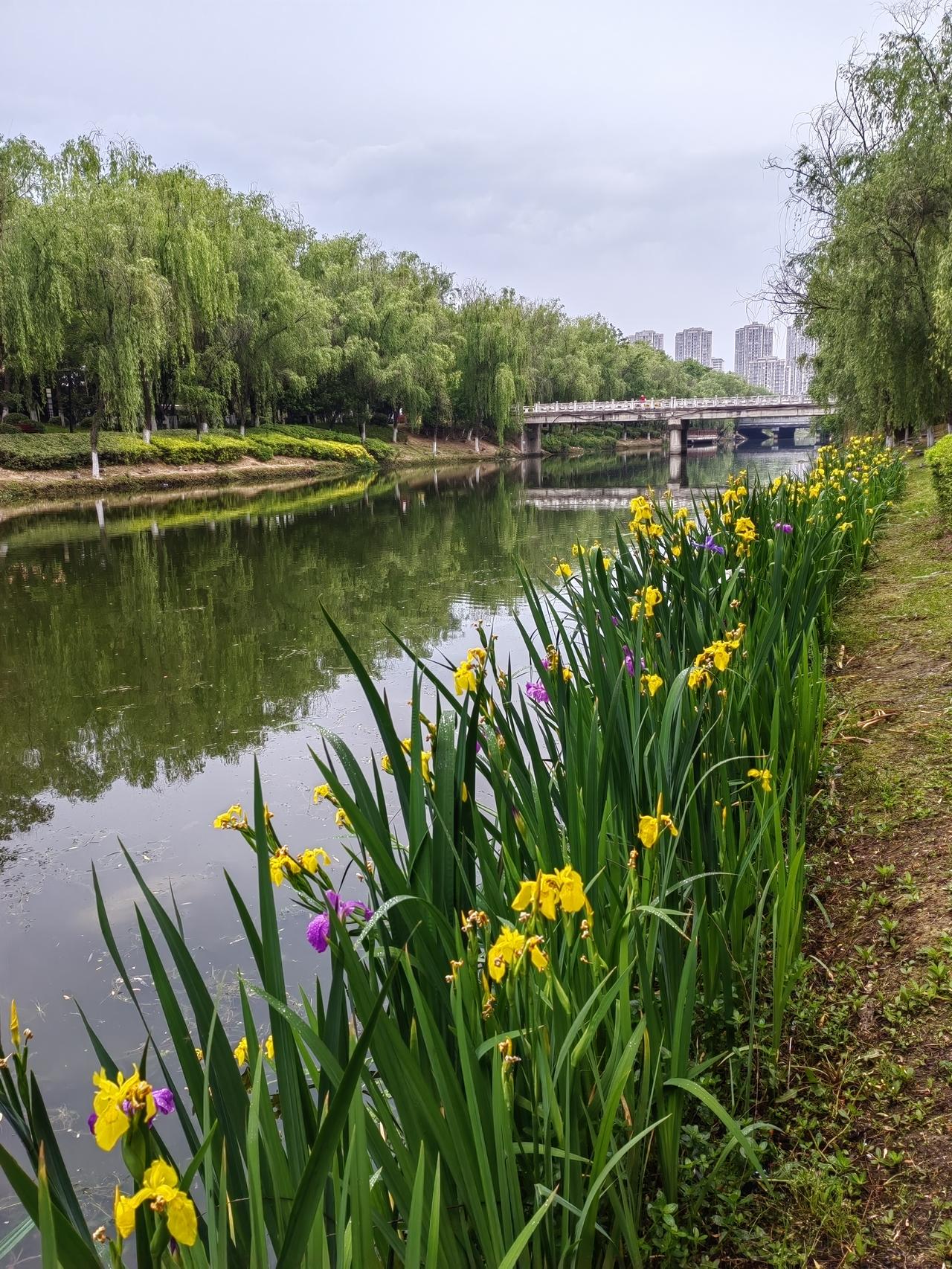 走在运动的小路上。漫步在小路上，路旁的野花、小溪、绿树和鸟鸣声交织成一幅宁静的