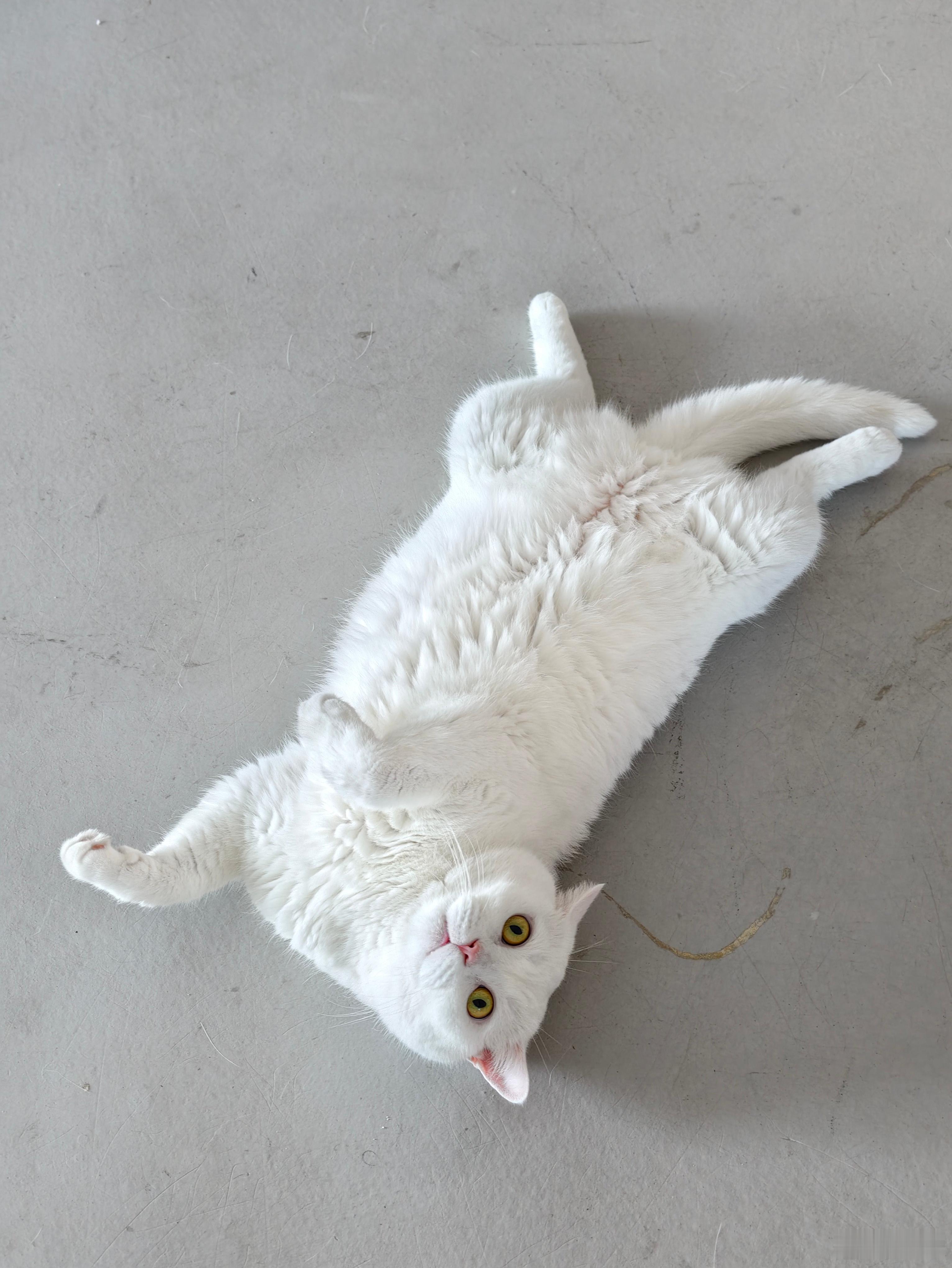 江小白好可爱(/ω＼)​​​