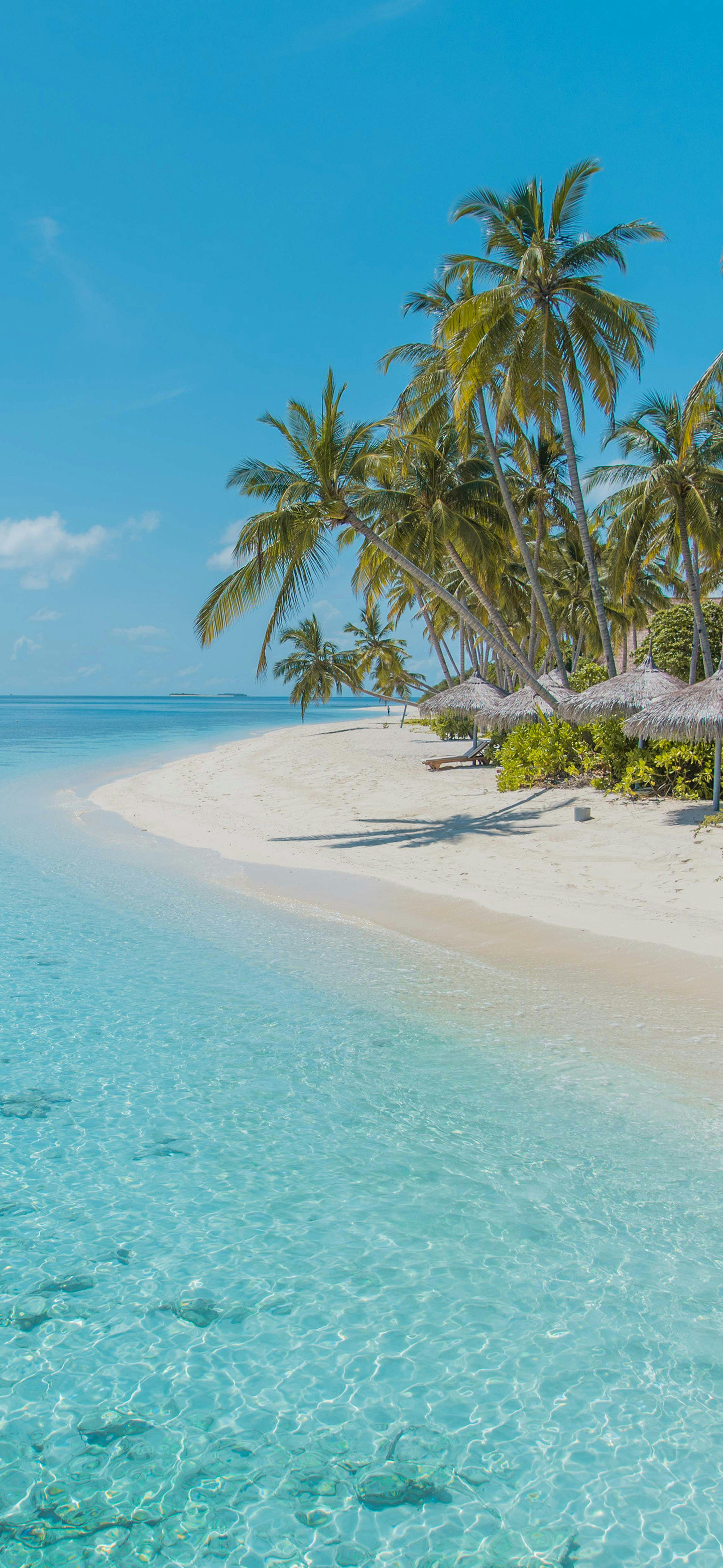 兄弟们早！今日份壁纸已送达～