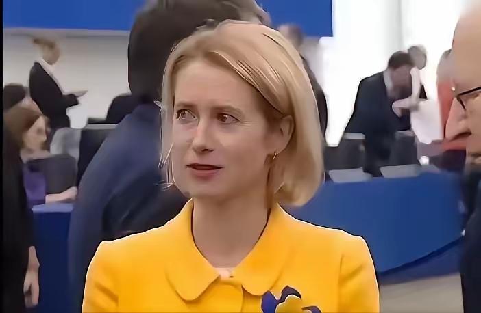 最近，网上流传了一个关于卡拉斯的讽刺笑话(卡拉斯：欧盟女外长，前几天把中国说成是
