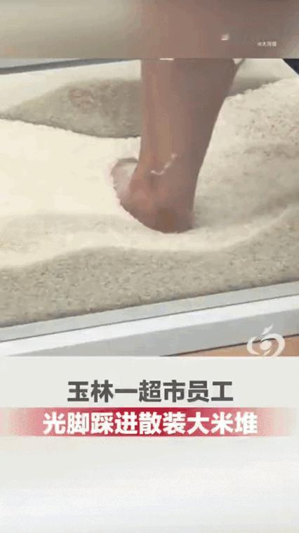 厦门那只猫大概做梦都想不到，自己半年后还能被网友翻出来。去年12月，厦门一家