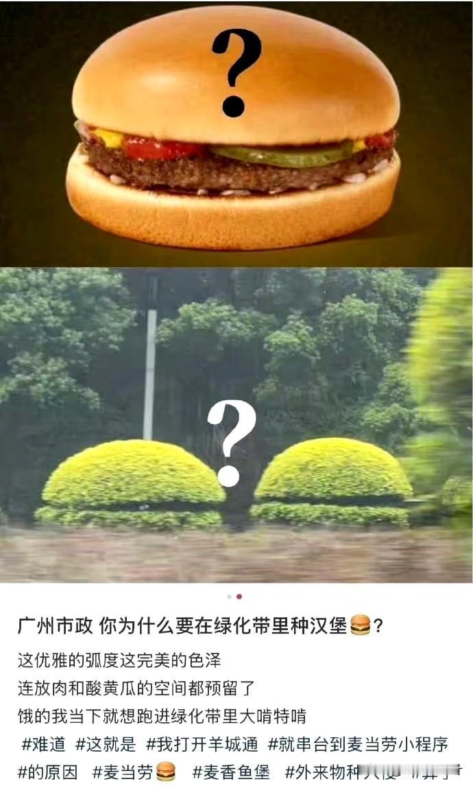 可恶！疯狂星期四怎么夸起麦当劳～[大笑]汉堡