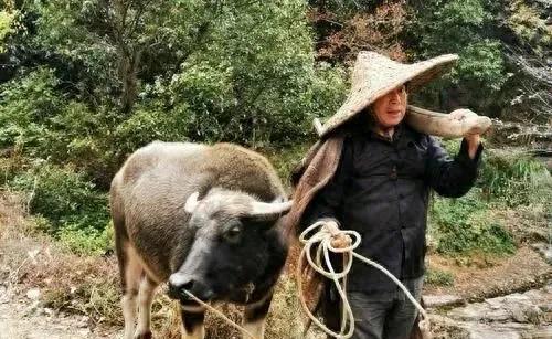 从九月一号起，实体店老板要是雇人就必须为其缴纳社保了。不管出于何种原因，哪怕员工
