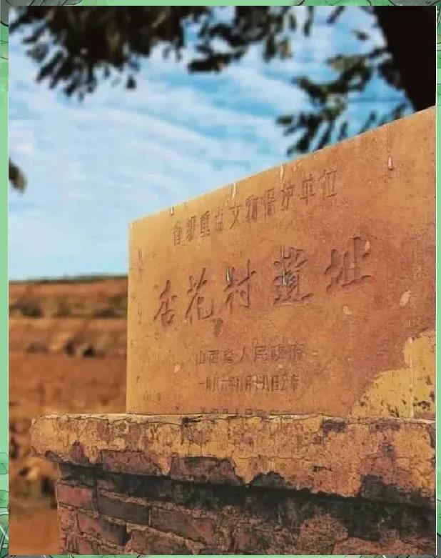 微体化石锁定的6000年酒香通过微体化石残留物检测技术，考古学家在杏花村遗址的