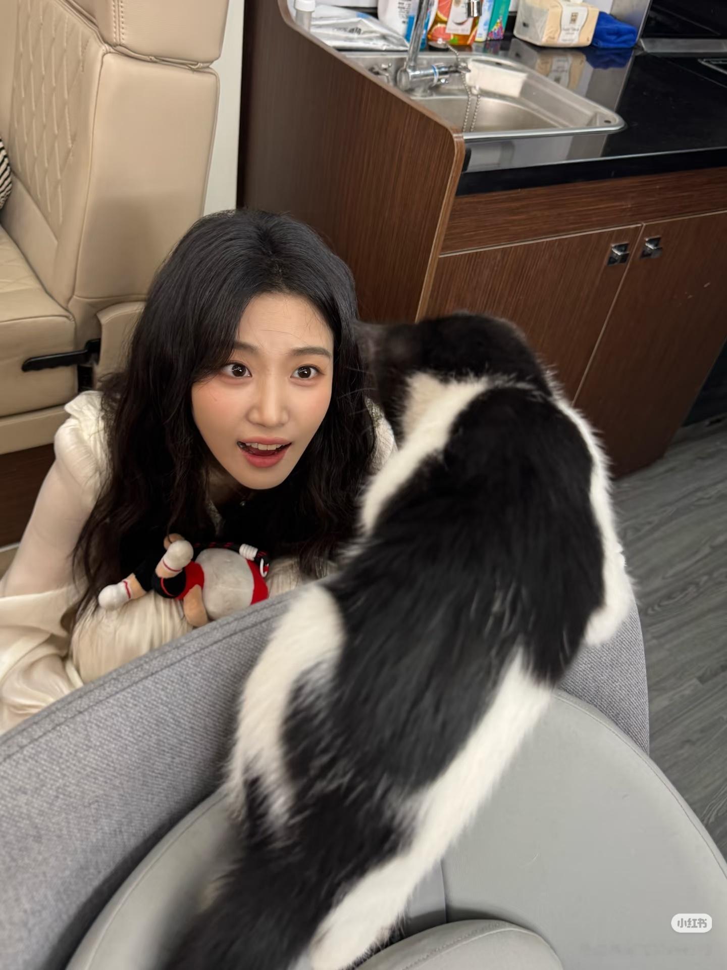 【卢昱晓】奇怪你爱小狗卢昱晓白T海边营业照​​​