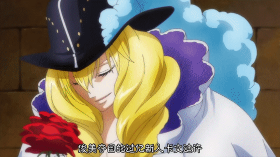 海贼王海贼王男人中的女帝