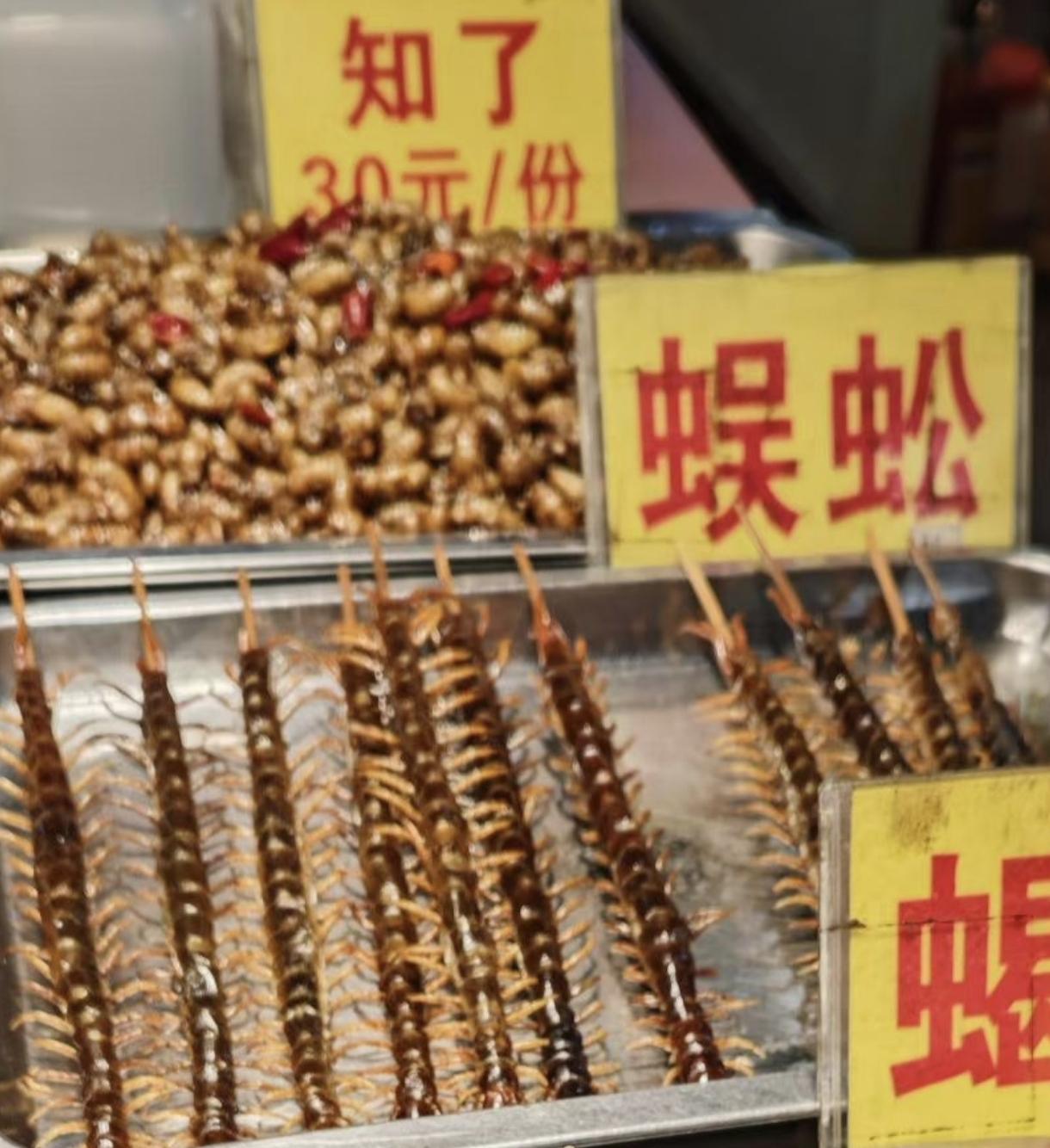 看看在广西旅游的时候拍的照片，各种各样的虫子，有些还是有毒的蜈蚣，蝎子，蜘蛛，竹