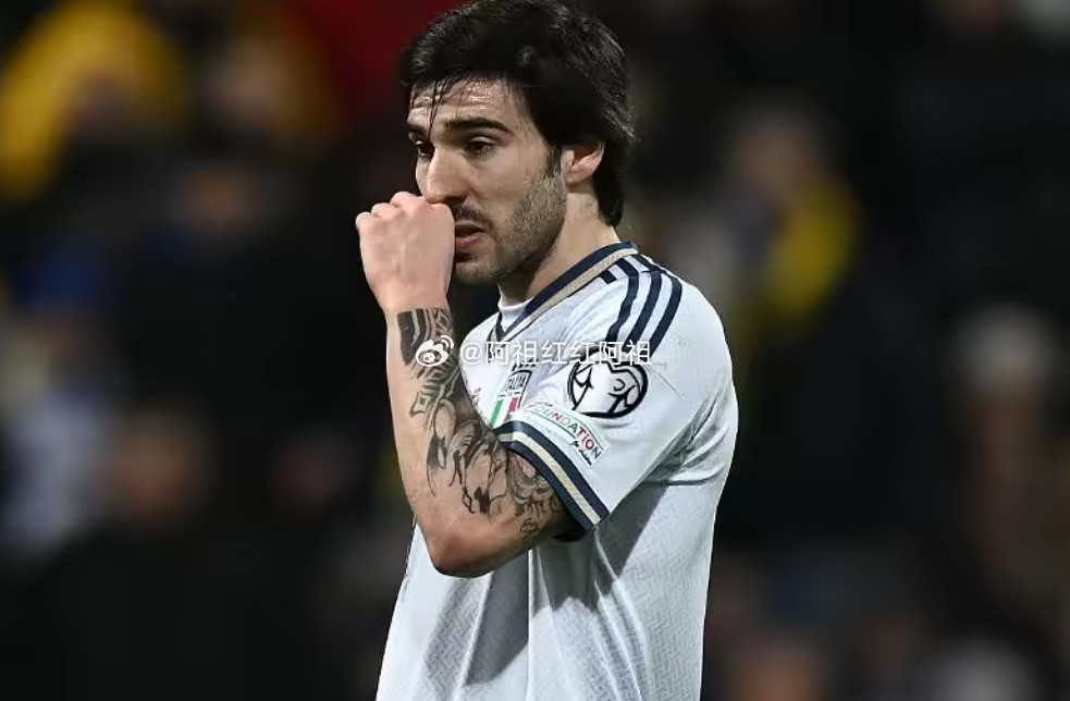 据《米兰体育报》报道，无缘世界杯不但在竞技层面对意大利足球造成打击，也让足协在经