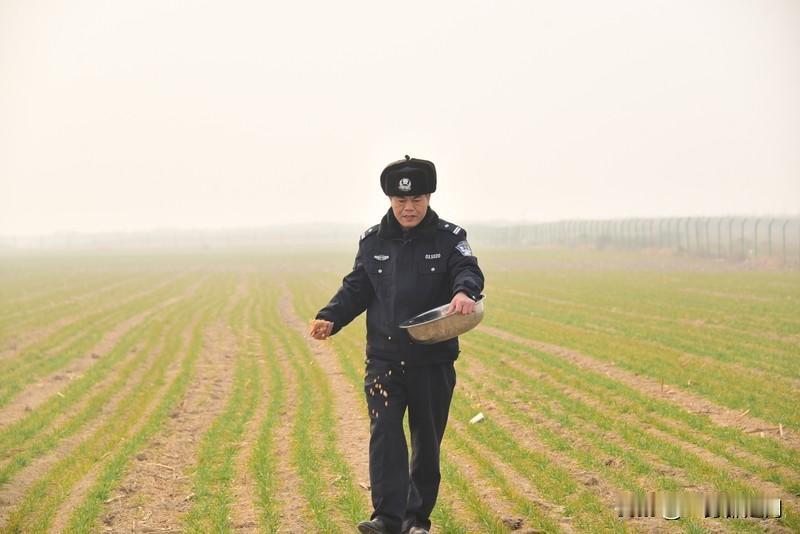 河南中牟县卖粮被骗案终于有结果了农民卖粮的28万多元钱也终于如愿的回到农民